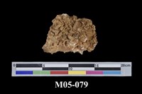 藏品(重晶石)的圖片